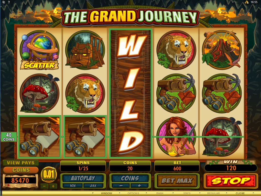 What do wild symbols mean in slot machines