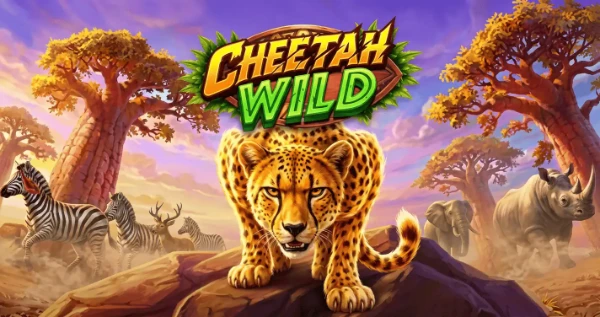 Funkcja mnożników w Cheetah Wild